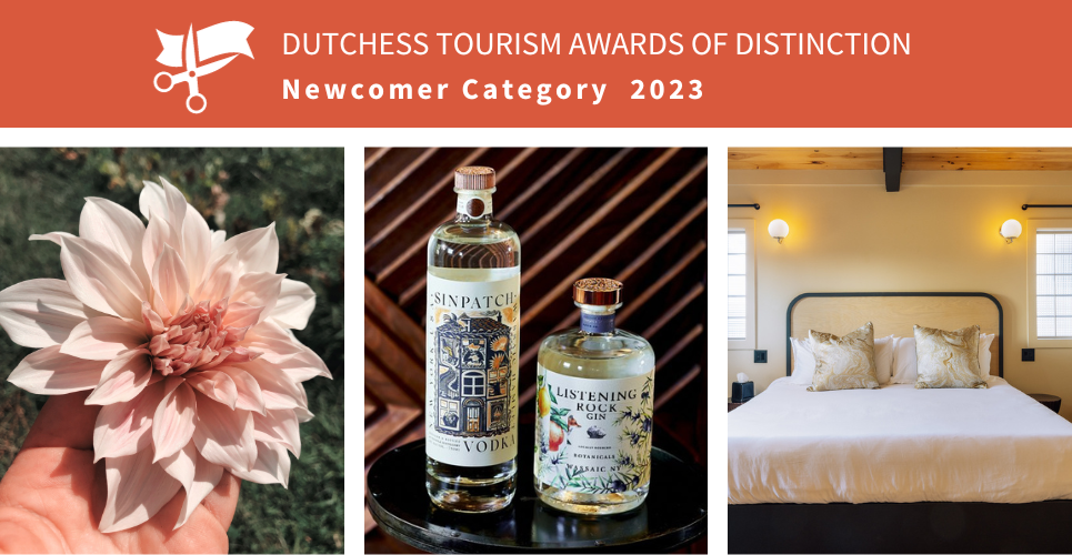 2023 Awards of Distinction Newcomer Category Main Image